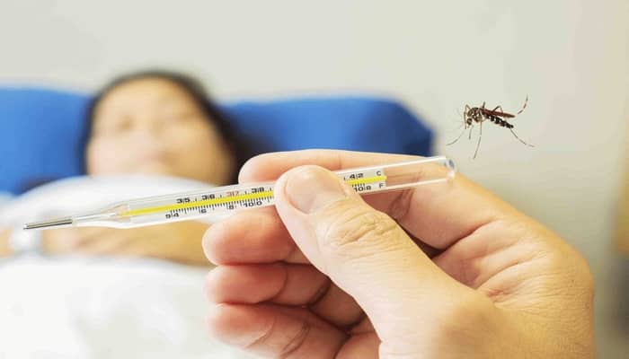 Dengue Fever Symptoms, Treatment And Prevention