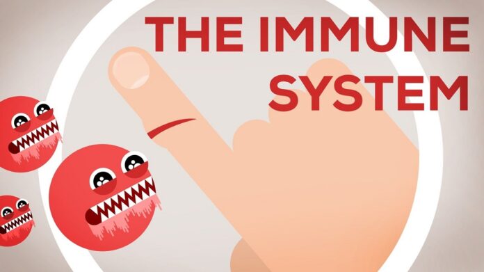 immune system vitamins