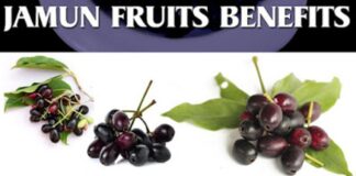 black-jamun-java-plum-health-benefits