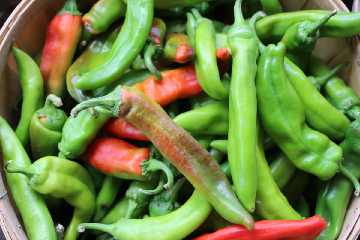 Benefits of Green Chillies