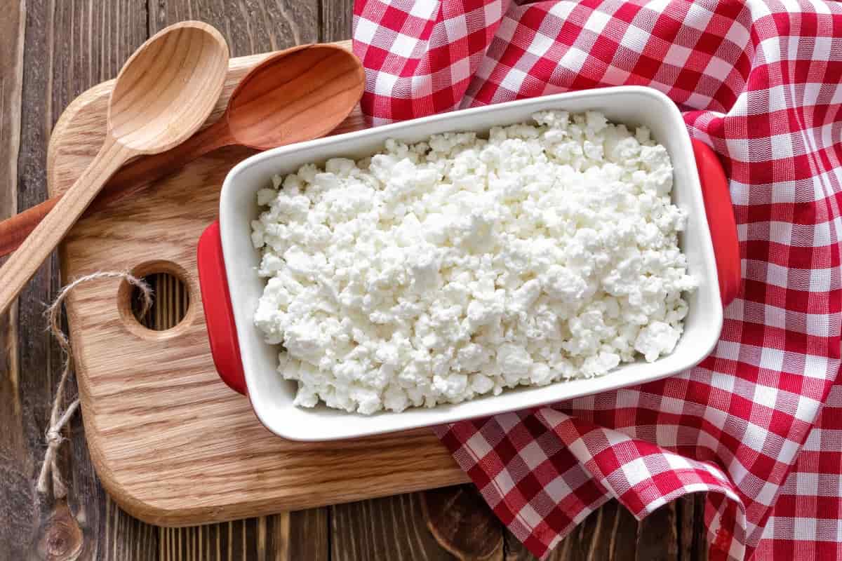 cottage cheese health benefits